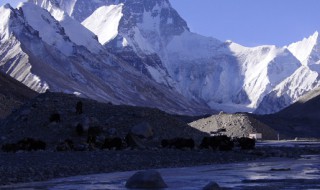 黄河奔长江涌长城长珠峰耸是什么意思 怎么理解黄河奔长江涌长城长珠峰耸