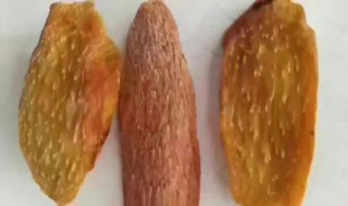 锁阳的功效与作用吃法 锁阳的功效与作用及吃法介绍