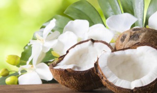 椰子什么味道比较正常 椰子正常味道介绍
