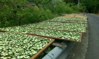 正宗黄瓜干怎么晒 晒黄瓜干的方法介绍