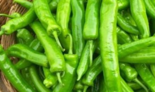 辣椒怎么吃 辣椒的做法介绍