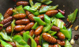 蛹怎么炒好吃 炒蛹的方法介绍