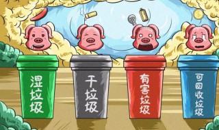 垃圾分类名称 垃圾分类介绍
