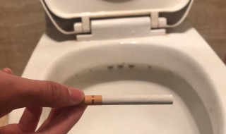 厕所返臭什么原因 厕所返臭的原因