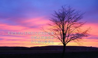 青春唯美励志留言句子精选 正能量的句子推荐