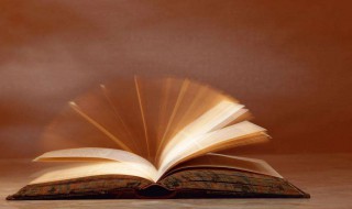 好听的四个字公司名称 4个字公司名称简单大气