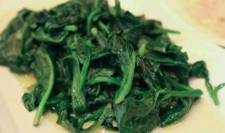 户子是什么菜 户子简介