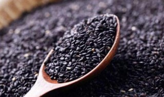 黑芝麻有哪些作用和功效 黑芝麻的功效与作用都有哪些