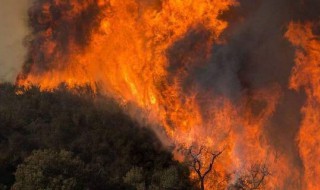 山火的危害及措施 山火的危害及措施介绍