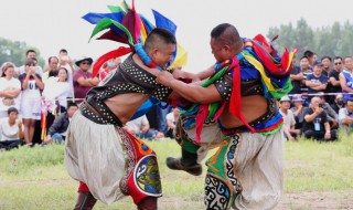 摔跤万能技巧 怎么进行摔跤
