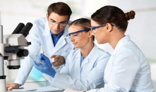 什么食物里含萃枫苷 含萃枫苷的食物介绍