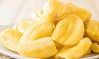 菠萝蜜生的能吃吗 菠萝蜜生的是否能吃