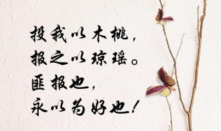 投我以木瓜报之以琼琚是什么意思 诗经名句解析