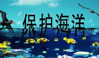 保护海洋的方法 怎样保护海洋
