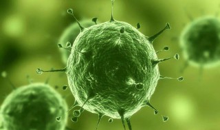 传染病流行三要素是什么 简述传染病流行的三大要素