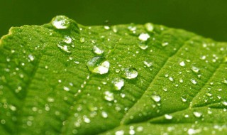 一句话表达孤独的句子 一句表达孤独的话有哪些