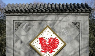 南墙是什么意思 南墙的意思