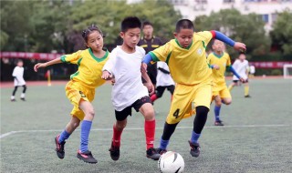 如何培养一年级小学生的良好学习习惯 培养小学生学习习惯的方法