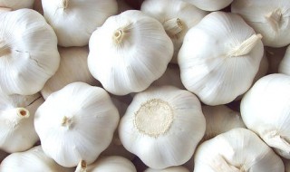 腌大蒜头的方法 传统腌大蒜头的方法