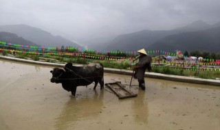 传统农耕文化的句子 关于农耕的句子