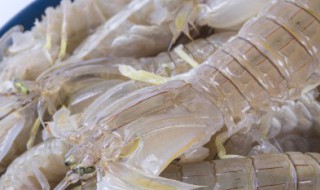 爬虾怎么存放 保存虾爬的窍门