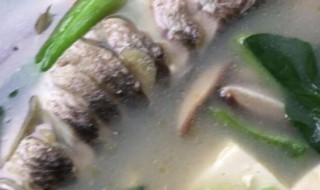 青菜豆腐鱼汤如何做 青菜豆腐鱼汤的做法