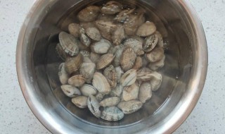 蛤蜊怎么存放 怎么存放蛤蜊