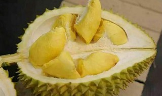 榴莲吃不完怎么存放 怎么存放吃不完的榴莲
