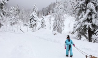 关于落雪的优美句子 有关下雪的唯美句子