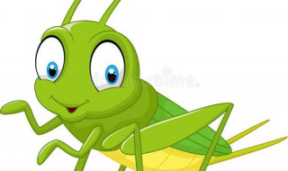 斗蛐蛐窍门 斗蛐蛐的技巧