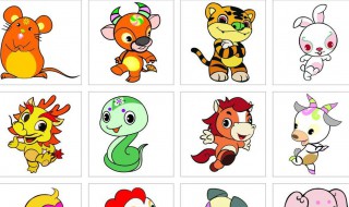 前肖有哪几个生肖 前肖有几个