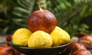 大板栗剥壳方法 板栗怎么去壳