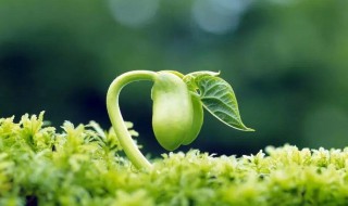 成长的味道作文400字 关于成长的滋味作文400字