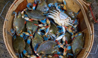 螃蟹要怎么存放 螃蟹存放方法