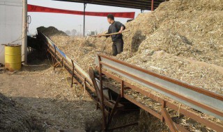 桔杆有机肥制作方法 如何制作桔杆有机肥