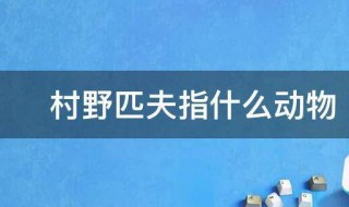 村野匹夫指什么动物 村野匹夫说的是什么动物