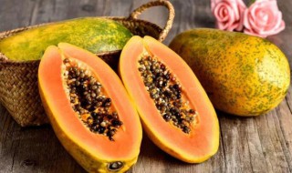 木瓜什么意思 网络用语木瓜是什么意思