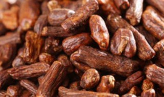 薄公英根茶功效与作用是什么 蒲公英根茶的好处介绍