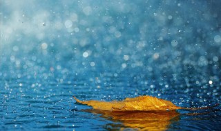 形容雨的唯美诗句 形容雨的优美诗句有哪些