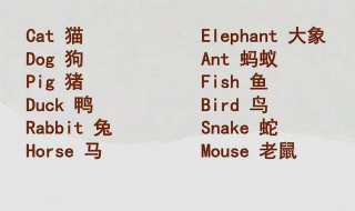 零基础背诵英语单词的技巧 零基础如何背单词