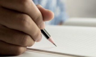 描写春运时拥挤的情景的句子 描写春运情景的句子