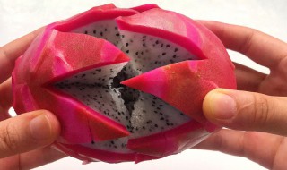 切火龙果技巧 教你切火龙果技巧