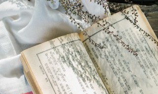 关于家族的成语 形容家族的成语简单介绍