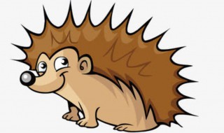 刺猬要冬眠吗 刺猬什么时候冬眠