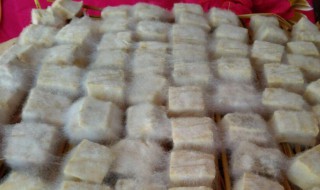 腐乳的制作方法步骤 腐乳如何制作