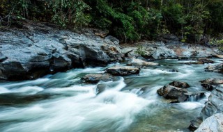 求二石兽于水中竟不可得的意思 求二石兽于水中竟不可得出自何处