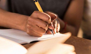 人与动物作文800字 关于人与动物的高中作文范文