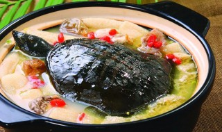 滋补水鱼汤如何做 滋补的水鱼汤做法介绍