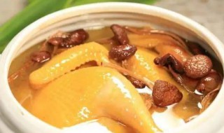 鸡肉如何做汤 鸡肉汤的烹饪方法