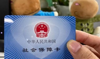 支付宝电子社保卡需要交费吗 支付宝电子社保卡的使用介绍